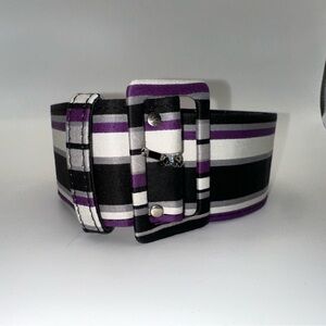 Pinup Couture 2 Inch Grommet Belt in Purple Solstice Stripe
